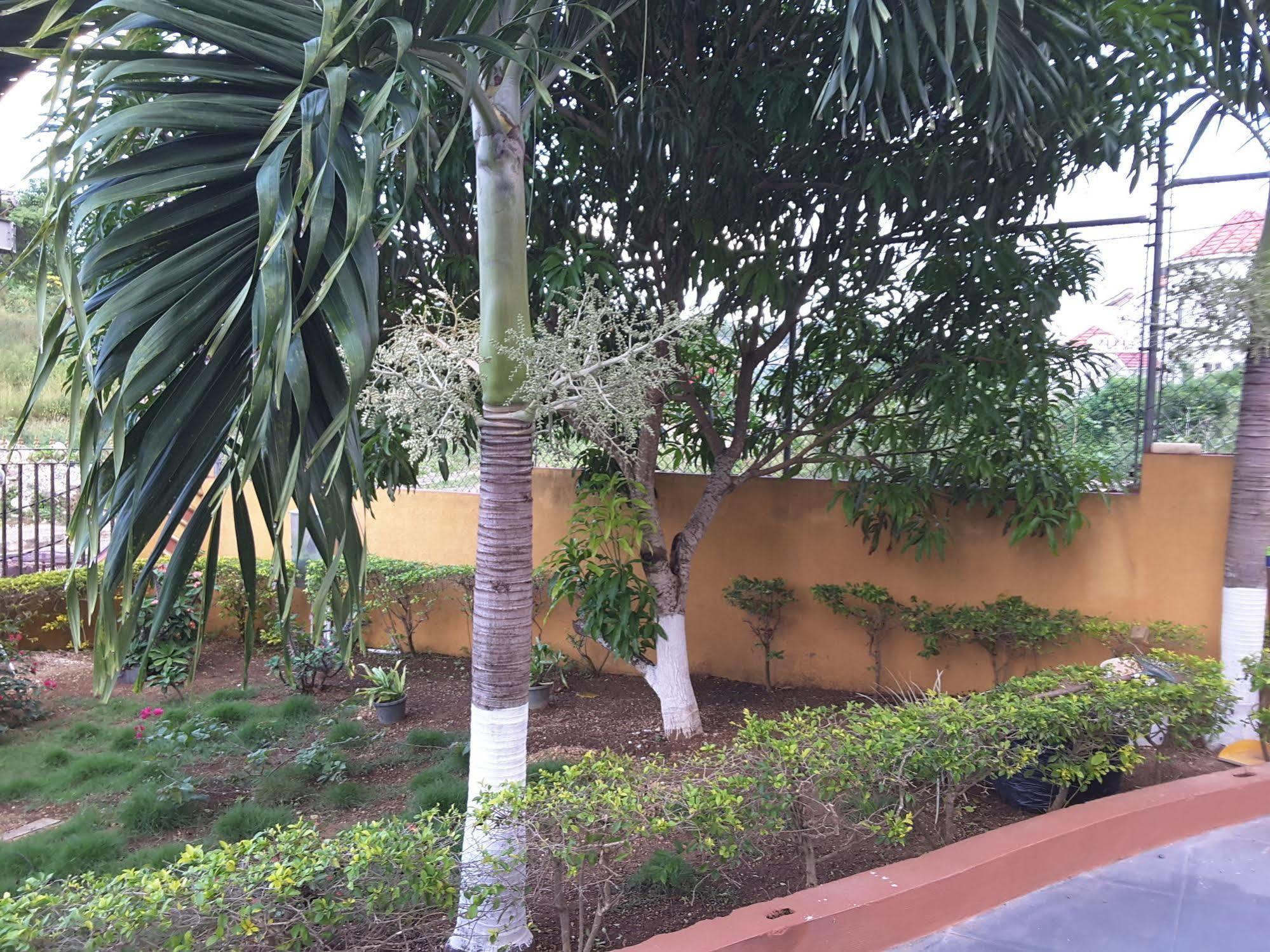 Cazwin Villas Montego Bay Exterior foto